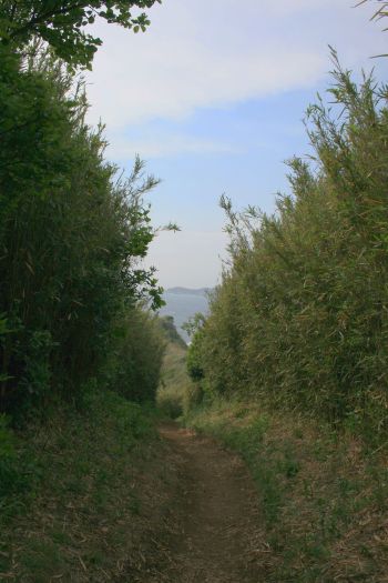 e0062371_8525412.jpg