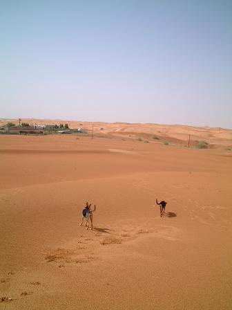 e0066474_20345024.jpg