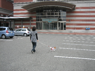 d0116578_22594576.jpg