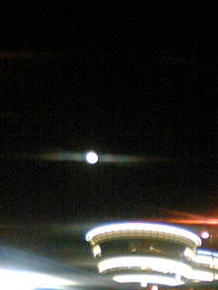 f0100480_9502945.jpg