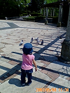 c0096582_153794.jpg
