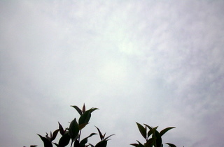 e0116383_23595813.jpg