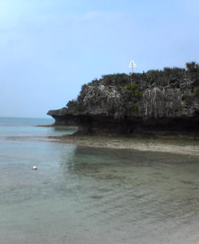 f0137483_11212272.jpg