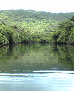 f0137483_11253473.jpg