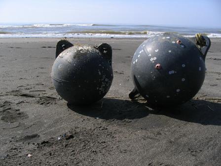 e0028485_1311137.jpg