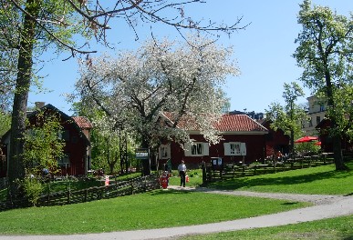 a0066586_33163.jpg