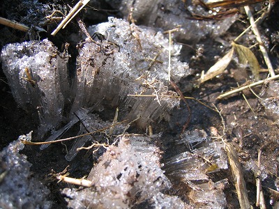 e0100086_19111457.jpg