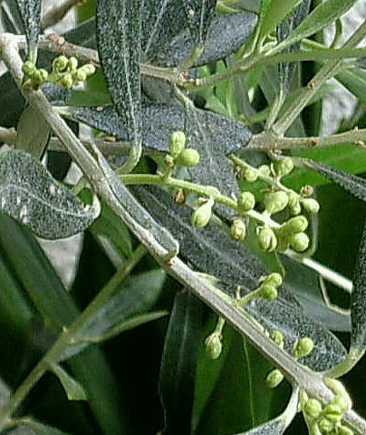 d0020789_8323368.jpg