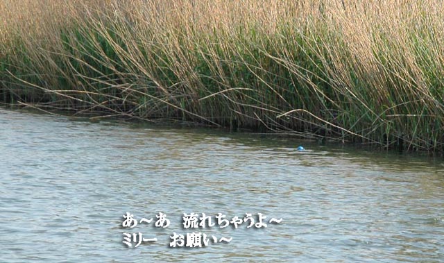 f0114893_7223834.jpg