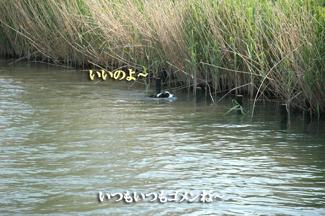 f0114893_7231528.jpg