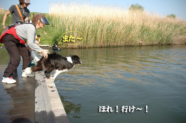 f0114893_7495323.jpg