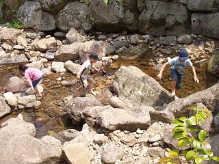 c0026594_23405934.jpg