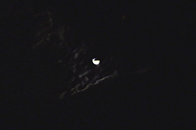 d0010496_13304797.jpg