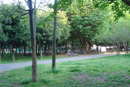 c0094999_2043611.jpg