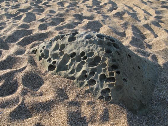 e0064400_8542643.jpg