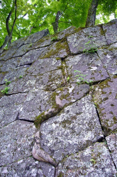 f0036700_13111075.jpg