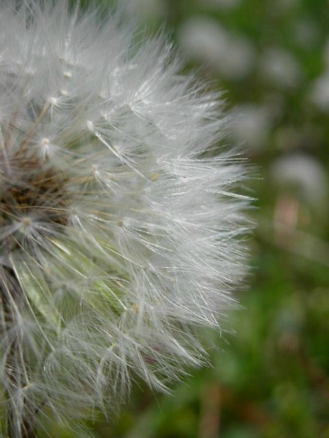 f0083400_14513563.jpg