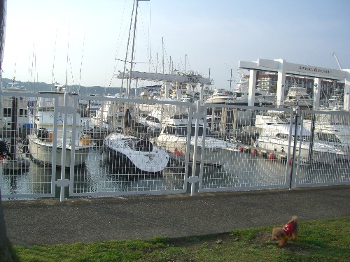 c0110906_010965.jpg