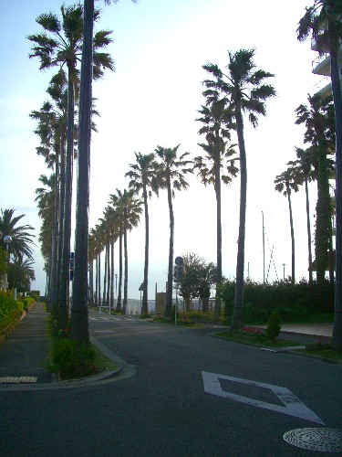 c0110906_095995.jpg