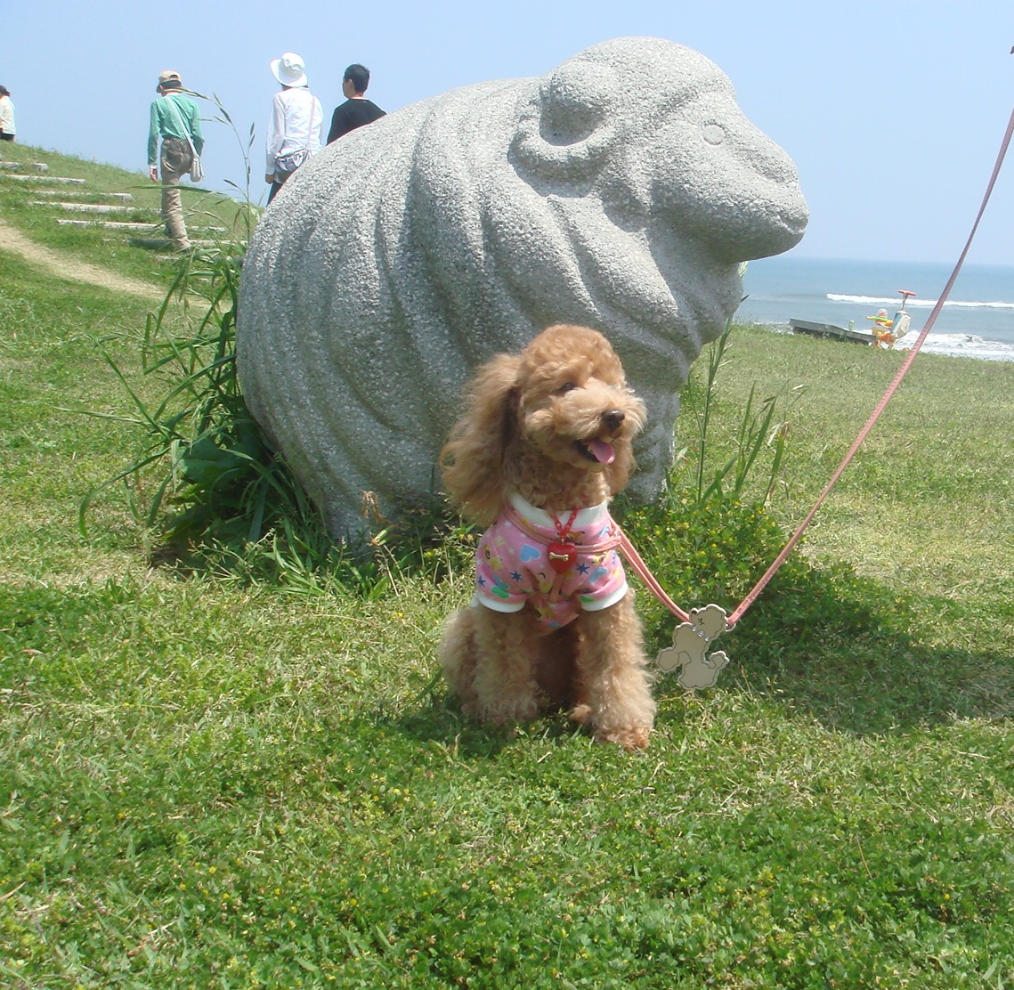 c0041207_1017430.jpg