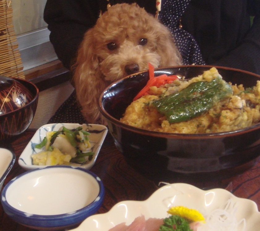 c0041207_10284598.jpg