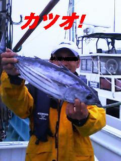 c0065309_8255.jpg
