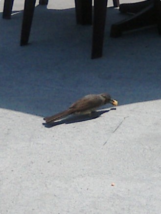 e0099212_7344152.jpg