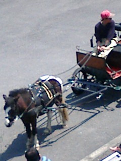 e0099212_7353241.jpg