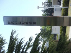 d0013816_3152635.jpg