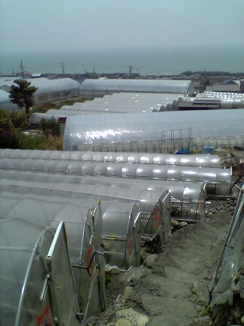 d0035823_1330795.jpg