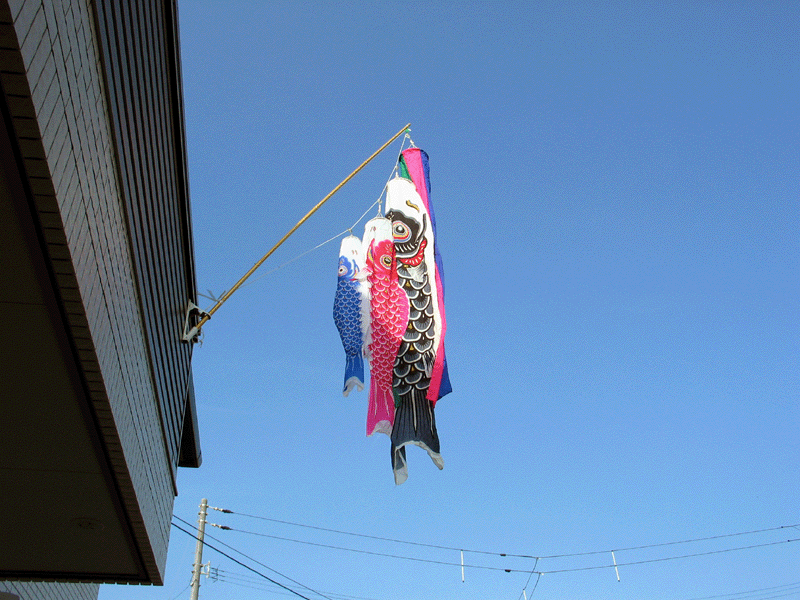 d0122127_0251752.gif