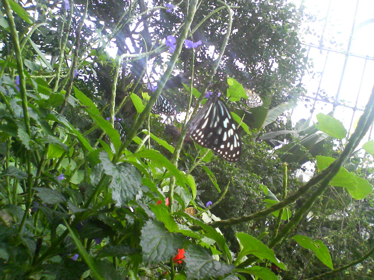 b0107428_22452334.jpg