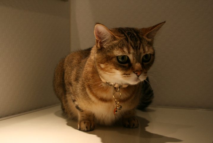 f0055228_162546100.jpg