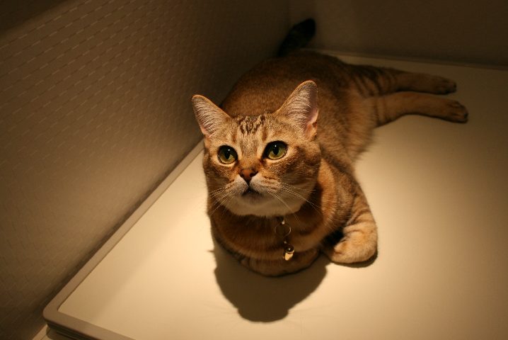 f0055228_1628159.jpg