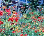 c0051529_17474711.jpg