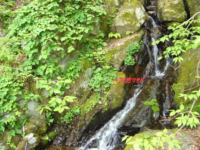 d0075131_12265990.jpg
