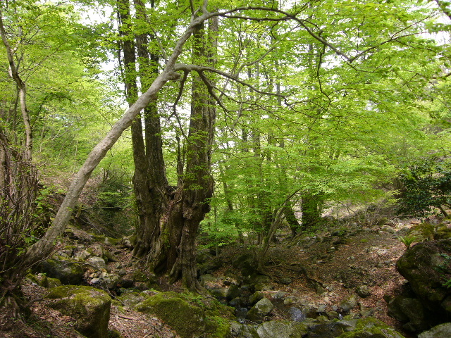 d0075131_1262293.jpg