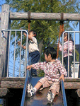 b0080033_23203639.gif
