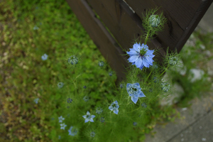 a0097735_222522100.jpg