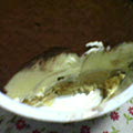 b0030935_21165385.jpg