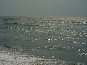 c0019338_13455114.jpg