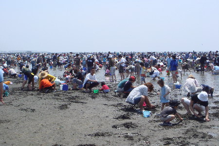 c0093339_165341.jpg