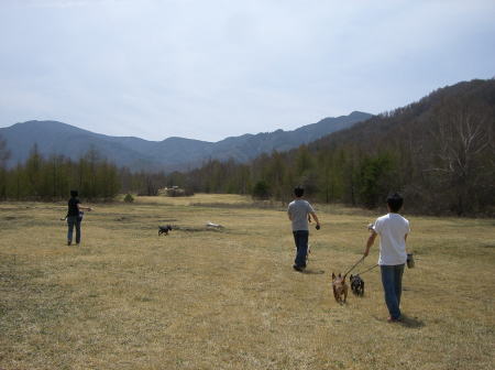 f0094843_142473.jpg