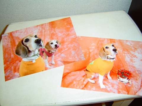 a0042044_21441421.jpg