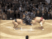c0026846_22441492.gif