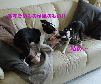 c0036949_210576.jpg