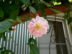 c0108853_11585189.jpg