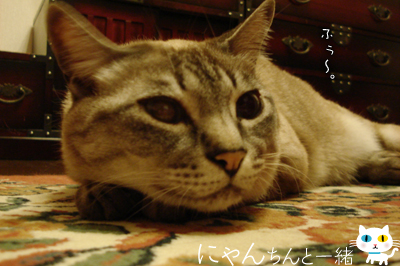 e0031853_10363890.jpg