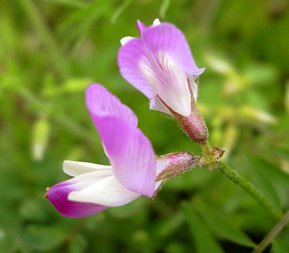 a0001354_19214847.jpg