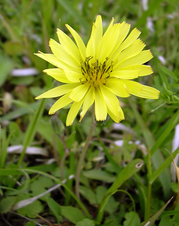 a0001354_19223775.jpg